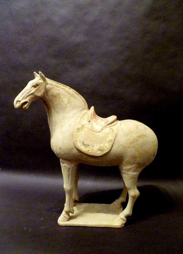 Fine Tang Dynasty Statue of Standing Horse at 1stdibs